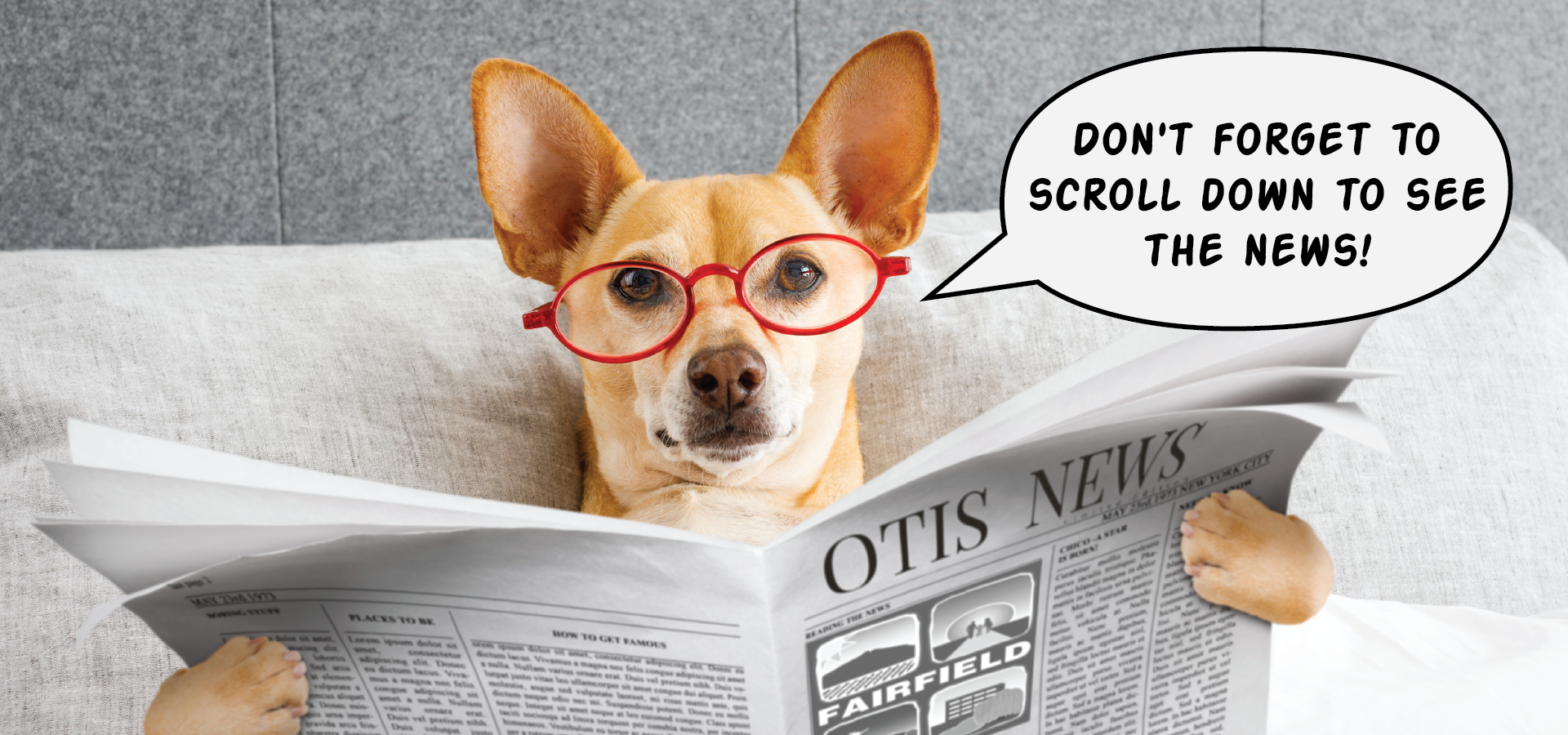 Scroll down to see the news
