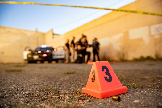 CSI web