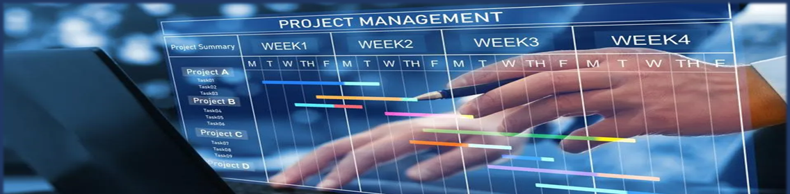 IT Projects Summary