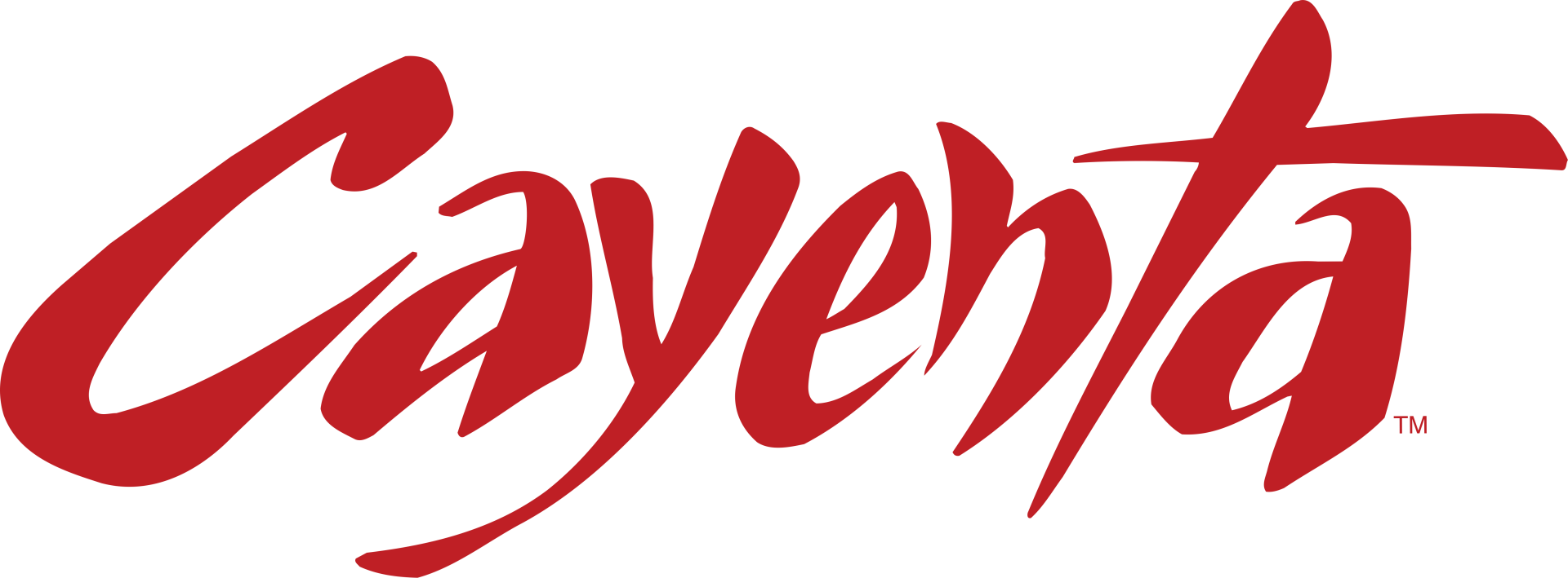 Cayenta Logo
