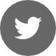 Footer_Social2_Tw@2x