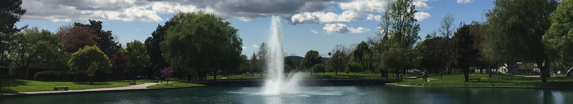 City Hall Pond Banner
